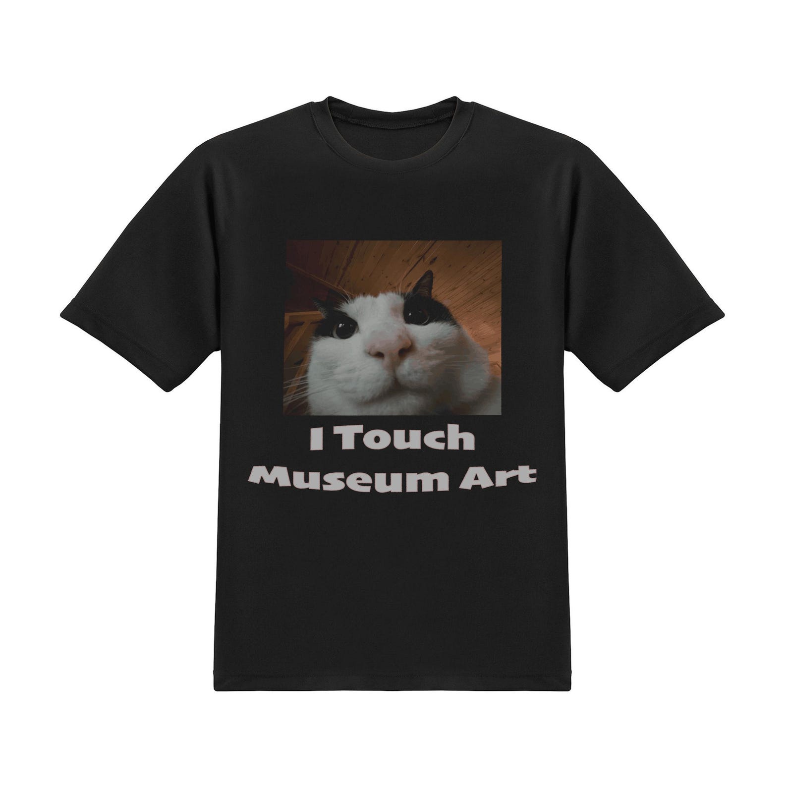 Museum Art Meme T-Shirt: Funny Slogan Tee 4XL