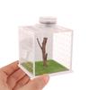 Jumping Spider Enclosure - Acrylic Reptile Breeding Box Jumping Spider Box With Light Humidifier Feeding Container Accessories