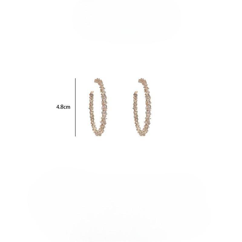 S925 Silver Needle Exaggerated Ear Ring Ultra-fantastic Fashionable Metal Big Circle Earrings for Women