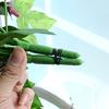 Artificial Morning Glory Vine Simulation Flower Vines Garland for Stairway Outdoor Fence