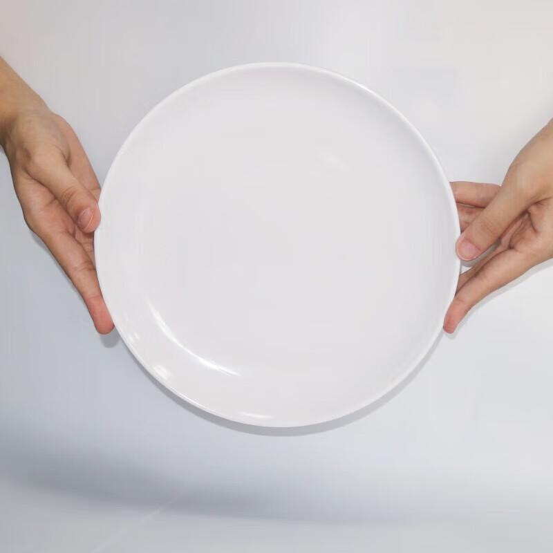 Danshi Zhiyuan A5 Melamine Round Dinner Plate
