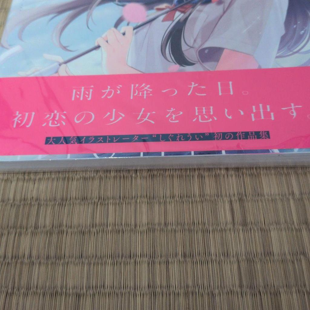 [USED] Beautiful item: Shigure Ui's collection of works "Love in the Rain" - shipping included