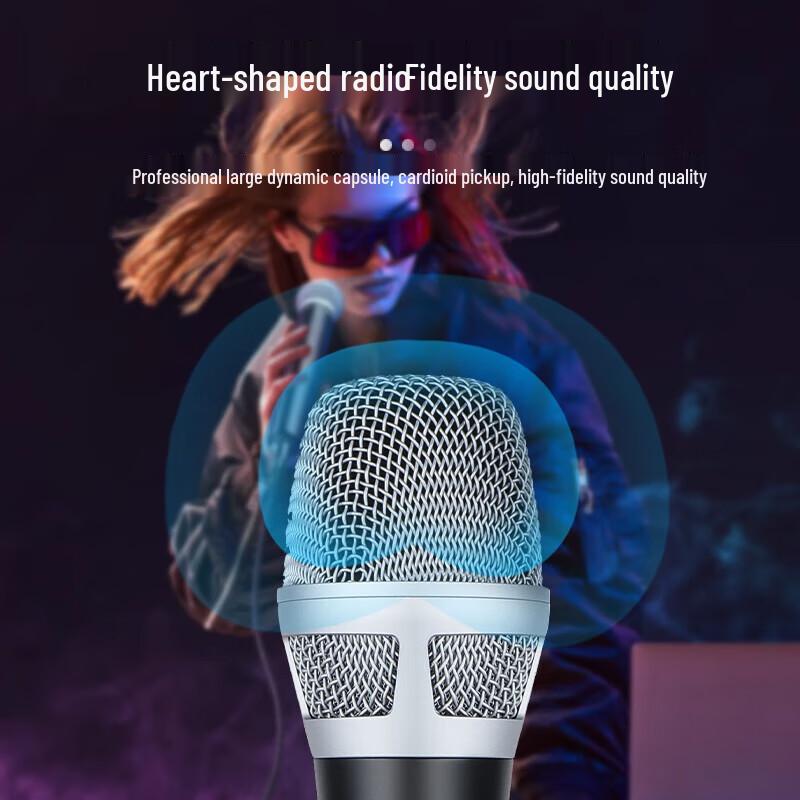 Huidu F10 Professional Wired Microphone (CN Version)