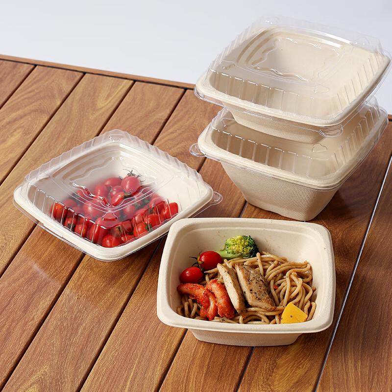 24oz Square Sugarcane Pulp Takeout Bowls with PET Lids, 100-Pack