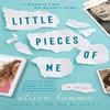 Little Pieces of Me by Alison Hammer Paperback Book 9780062934871