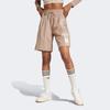 Adidas Originals Neutral Court Adibreak Letter Logo Print Striped Color Block Casual Shorts Women Shorts Brown IS5258