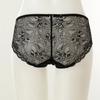 Wacoal Tulle Lace Panty European Sensation[dpt0464s]