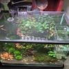 Stabile magnetische Aquarienabdeckung DIY Einfache Installation Aquarien-Netzabdeckung Aquarium Anti-Sprung-Netz Schutzabdeckung