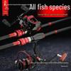 Daiwa Mingpin Carbon Fishing Rod & Reel Set for Long Cast, Black Carp & Mandarin Fish