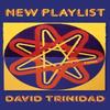 New Playlist by David Trinidad Paperback Book 9780822967408