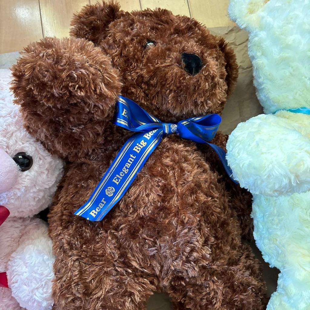 [USED] Teddy bear, Lovely bear, Rose bear, Teddy bear