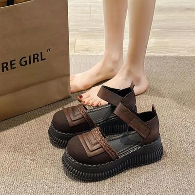 Fashion 2024 New Retro Luxury Shoes Women Thick Bottom Versatile Casual Sandalias De Mujer Shallow Mouth Comfort Mary Jane Shoes Heels