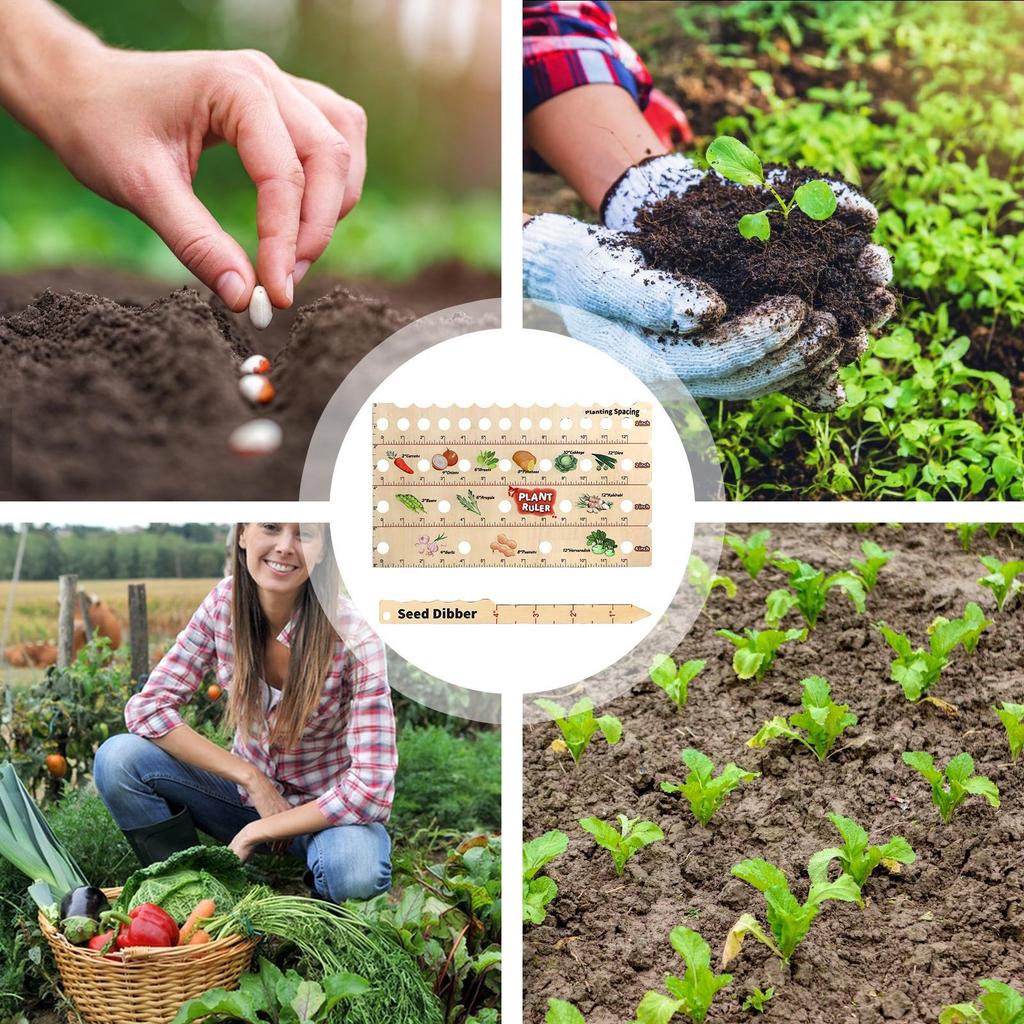 Planting Ruler with Holes Wood Plant Spacing Plant Spacing Ruler for Beginners Professionals Gardeners Growers Farmers Balcony