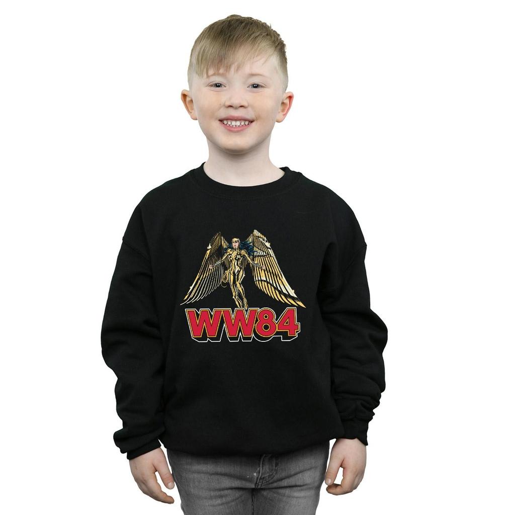 DC Comics Jungen Wonder Woman 84 Goldene Rüstung Sweatshirt