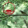 Kolibri-Futterspender mit Haken Große Kapazität Auslaufsicher Einfaches Befüllen Wiederverwendbar Einfache Installation