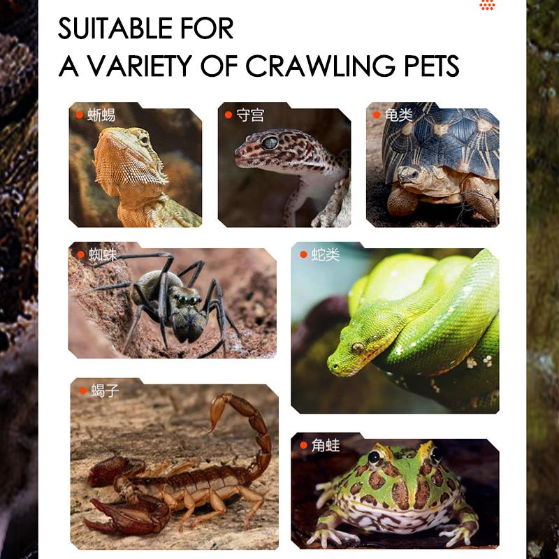 Duże pudełko do karmienia gadów i żółwi Zbiornik tropikalny Lampa słoneczna UVA Ogrzewanie UVB Zintegrowany podwójny klosz Oświetlenie dla płazów