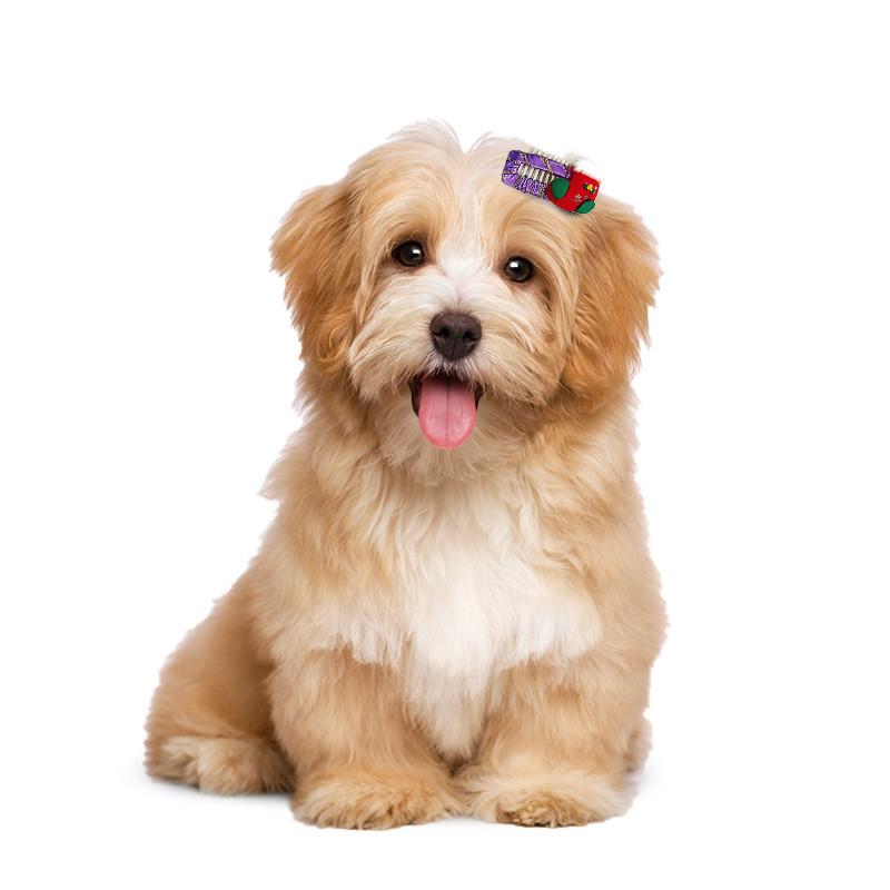 

Vibrant Holiday Hair Clips For Pets Featuring Cartoon Dogs And Cats In Festive Styles Christmas Sock Clip