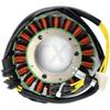 Magneto Stator Coil & Ignition Coil for Honda VTR1000F (1997-1999, 2001-2002, 2006)