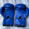 Zhong Aoliqiang Boxing Training Gloves