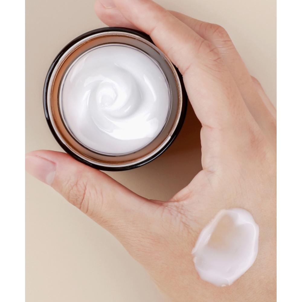 Mizon All In One Snail Repair Cream 75ml