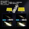 HADUDU LED Headlight Bulb Hi/Lo Switching 12V-85V/20W 6000K 2000lm (PH12 Equivalent) White