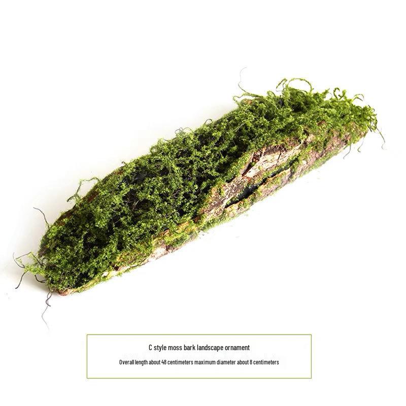 Artificial Moss Turf Carpet for Indoor & Outdoor Decoration