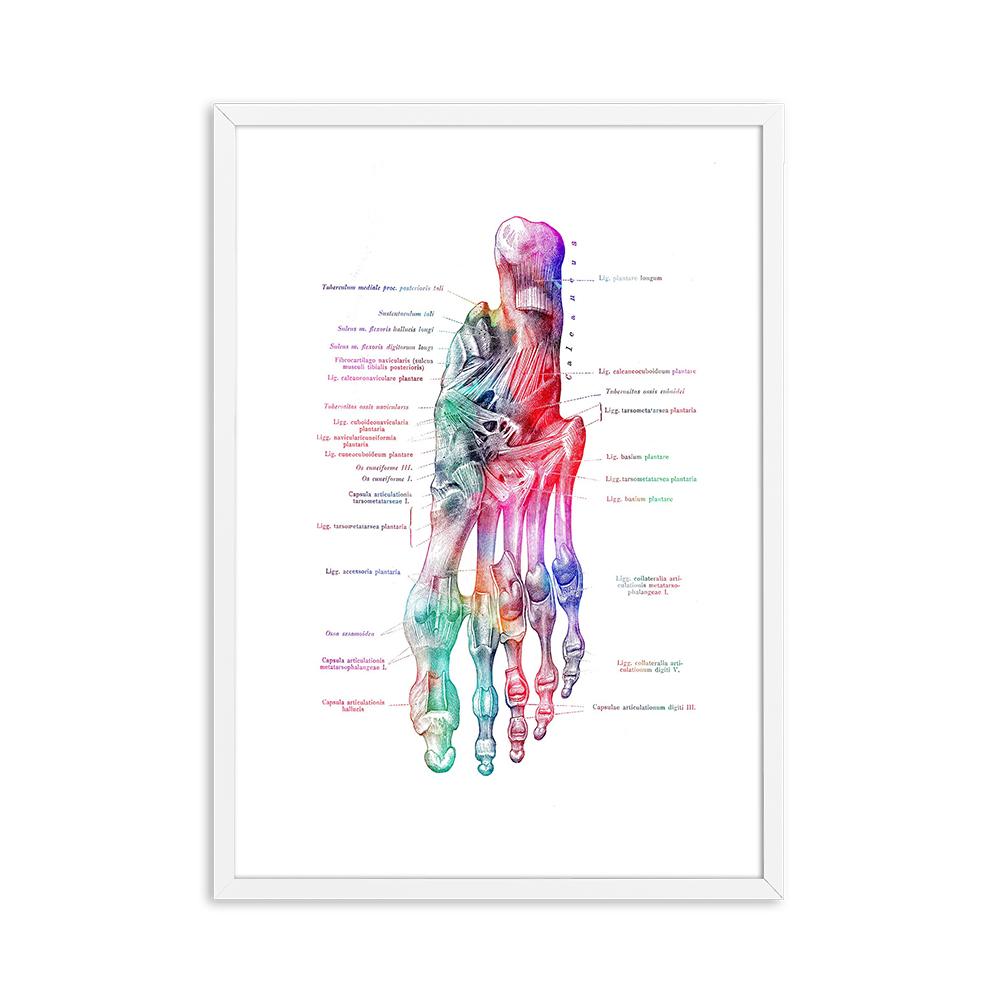 Foot Bones Anatomy Poster Podiatry Art Medical Print Canvas Painting Posters And Prints Wall Pictures For Gift Doctor Office Dec