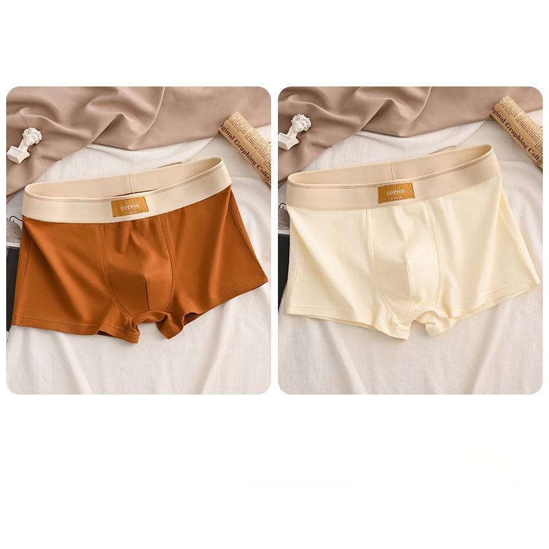 Luxury Men Underpants Man Cotton Breathable Comfortable Boxer Selling Shorts Men's Panties Plus Size Panties Underwear Gift
