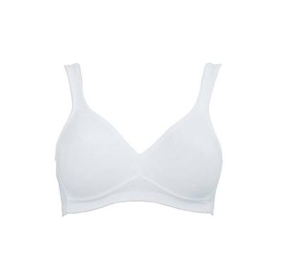 Rosa Faia 27340 Bra