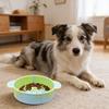 Dog Slow Feeder Bowl Slow Feeding Dog Food Dish Silicone Pet Food Bowl Prevents Choking for Fast Eaters Dogs And Cats
