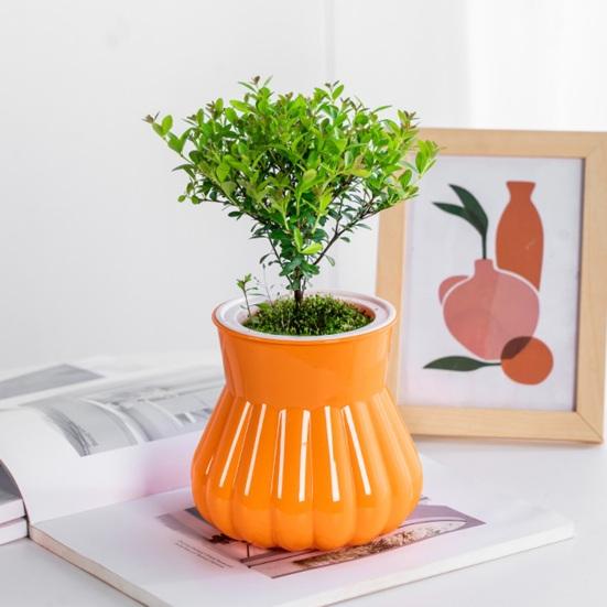 Self-watering Flowerpot with Self-absorbing Cotton Rope Creative Plastic Plant Pot Indoor