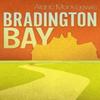 Bradington Bay by Alaric Mark Lewis Paperback Book 9781912665167