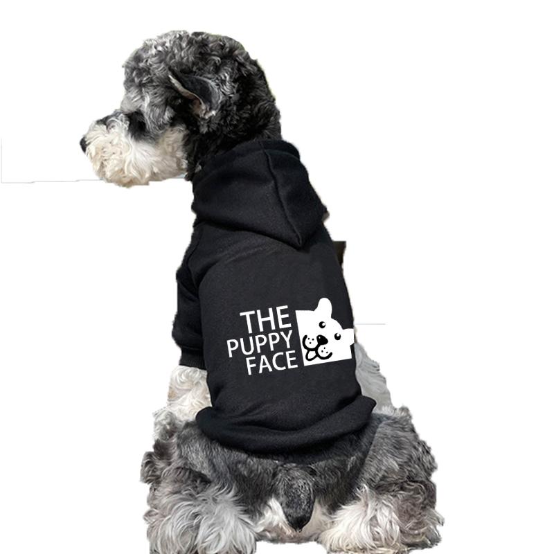 labrador puppy clothes