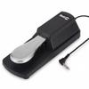 RockJam Sustain Pedal with Polarity Switch RJSP01
