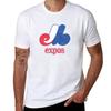 Montreal Expos Distressed Tshirt Moisture Control Sports Tee Tshirt