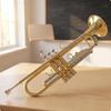 Trumpet Set BiColor with Case Cupronickel Brass Instrument for Students, Beginners, Lessons,