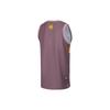Li Ning Badfive Seven City Collaboration Changan Youth Color Block Letter Print Quick-Dry Loose Basketball Vest Men Vests Purple Brown AAYT723-2