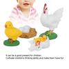 Cock Growth Cycle Model Children Miniature Simulation Animal Early Education Statue Toy