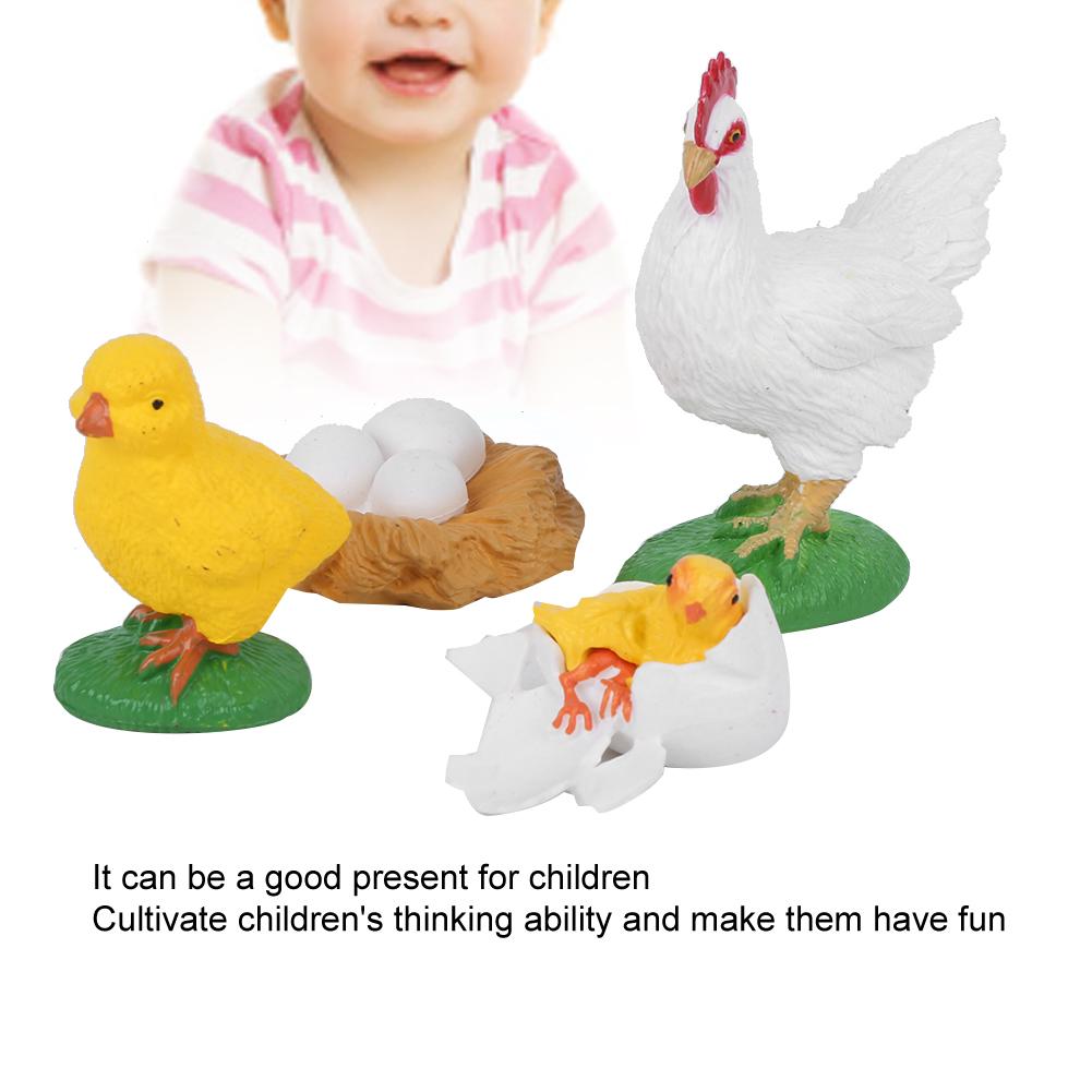 Cock Growth Cycle Model Children Miniature Simulation Animal Early Education Statue Toy