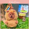 Capybara Plush Cartoon Wallet Earphone Bag Keychain Small Decorations Pendant