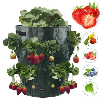 5/7/10Gallon Multi-Mouth Grow Bag Strawberry Tomato Planting Bags Reusable Planter Pots Garden Vegetable Flower Herb Planter
