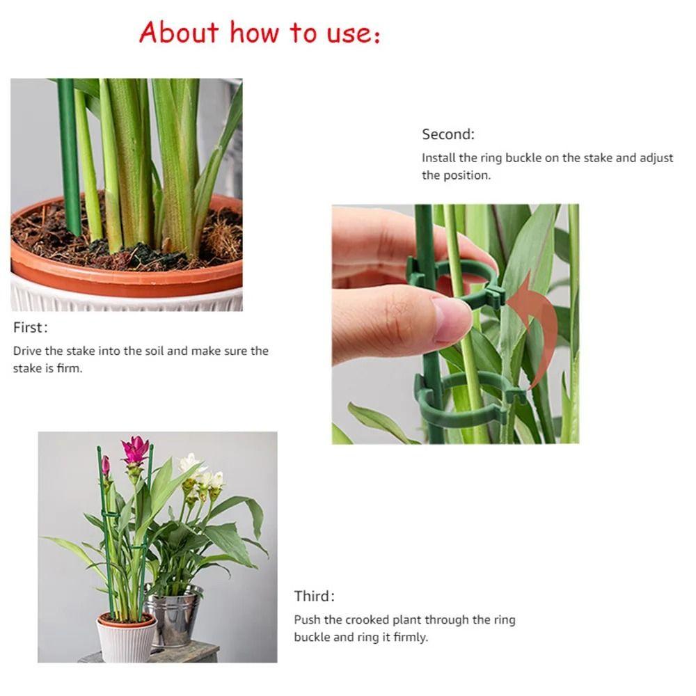 10Pcs Adjustable Plant Climbing Rack Creative Plant Stand Plant Support Frame  Garden Decor