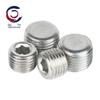 304 Stainless Steel Hex Socket Pipe Plug