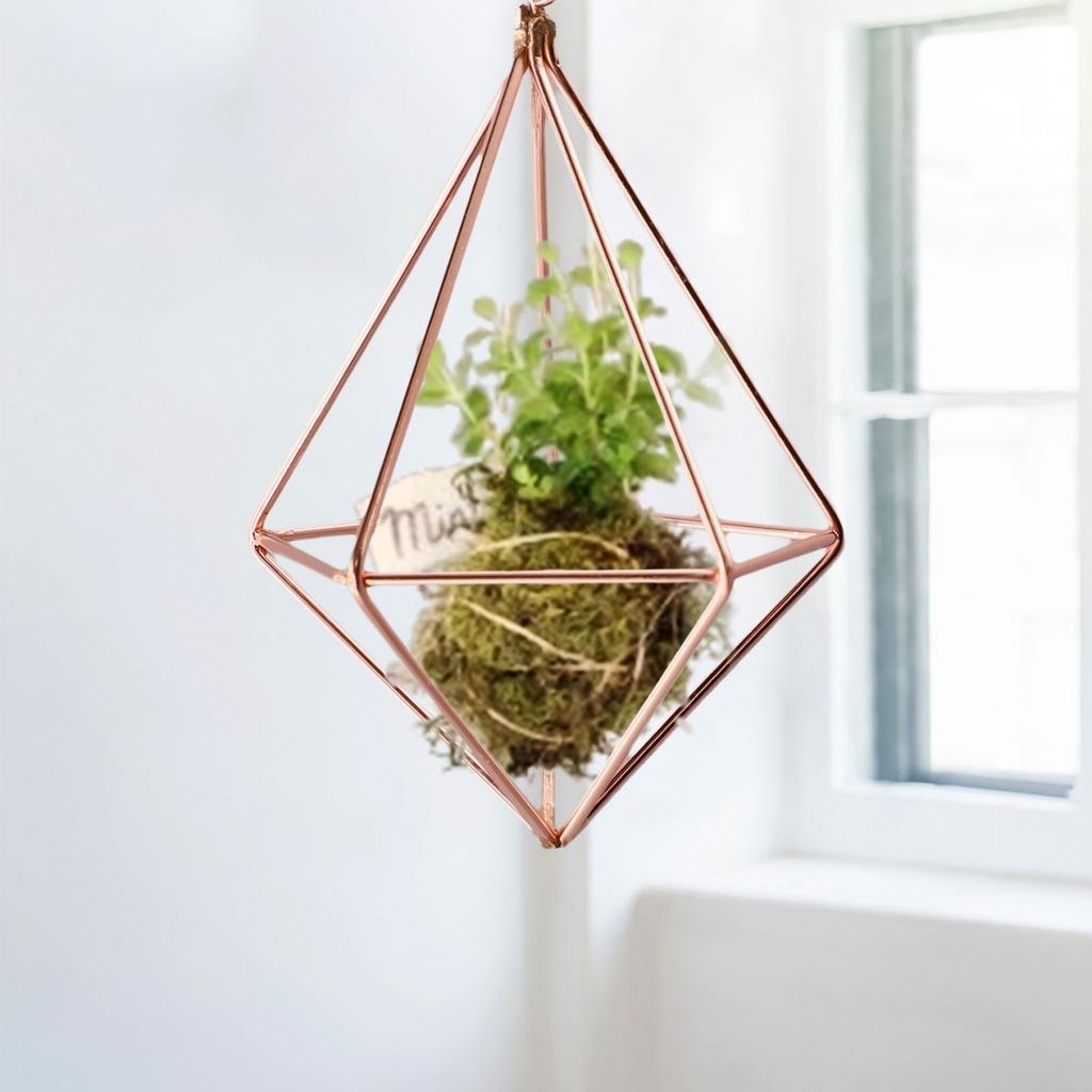 Veggdekorasjon Hengende Metall Geometrisk Luftplante Blomsterpotte Stativ Holder Brakett