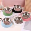 Stainless Steel Pet Bowl - Double Bowl for Cats and Dogs with Cervical Spine Protection