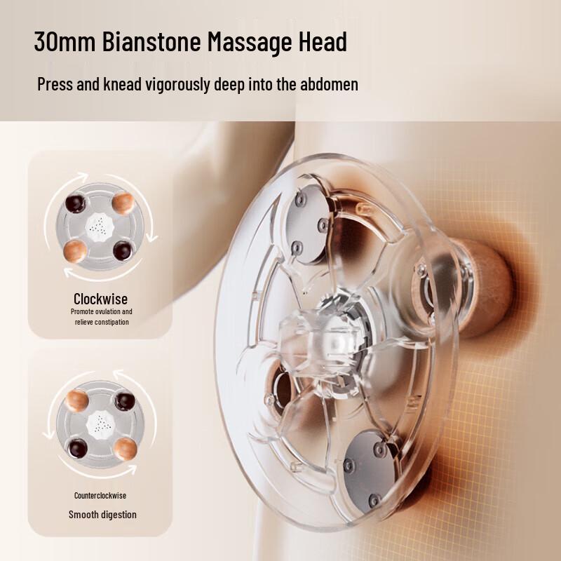 Haier Bianstone Moxibustion Abdominal & Waist Massager