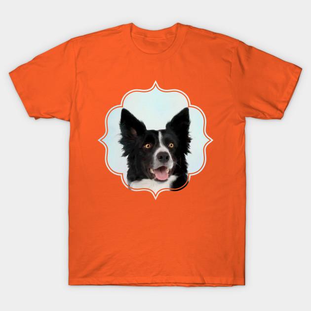 border collie clothes