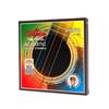 Alice AW436 Phosphor Bronze Folk Acoustic Guitar Strings - Coated, Anti-rust, Complete Set with Accessories
