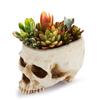 Versatile Storage Skull Candy Dish Decorative Bowl Multipurpose Design Resin Material Seasonal Centerpiece 12*10*9cm