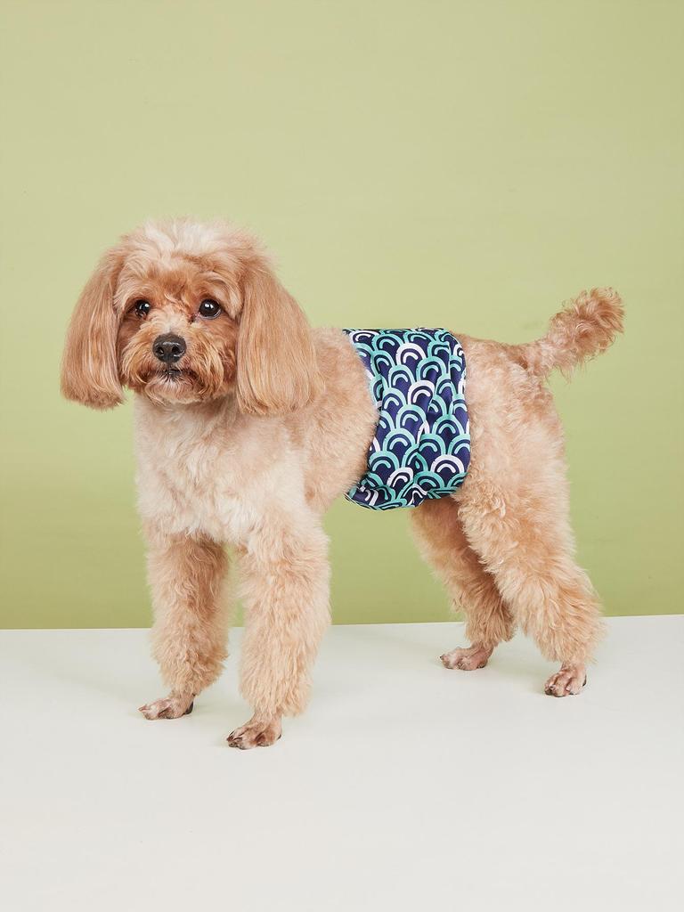 Scutec Elegant în Carouri pentru Câini & Pad Absorbent pentru Câini Masculi